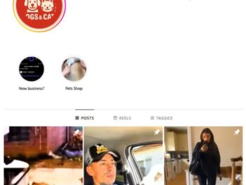 270K Dogs Pets Instagram Account for sale