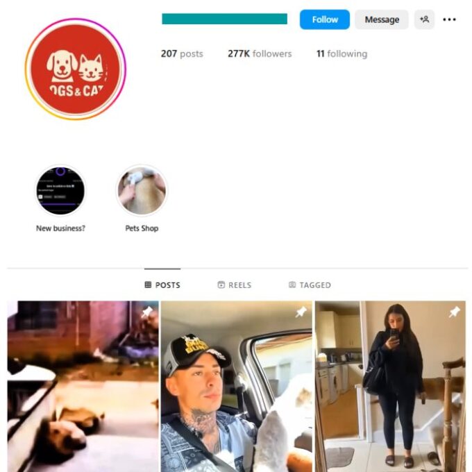 270K Dogs Pets Instagram Account for sale