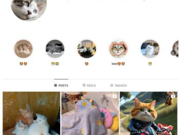 2K Pets Cats Instagram Account for sale