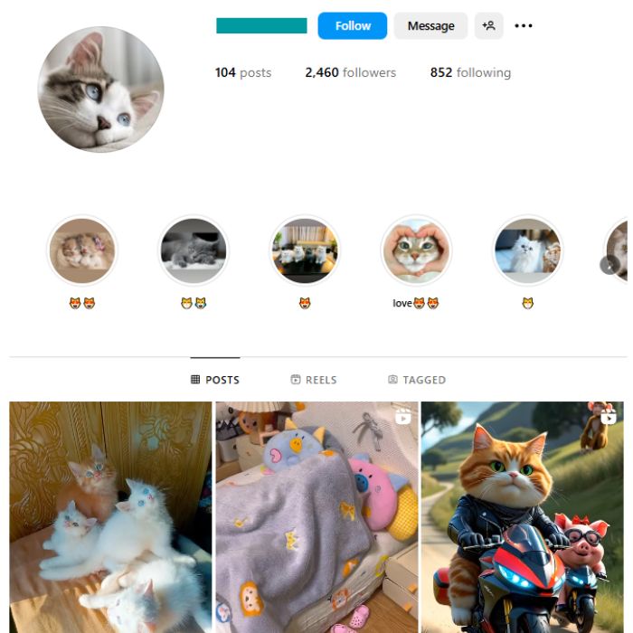 2K Pets Cats Instagram Account for sale