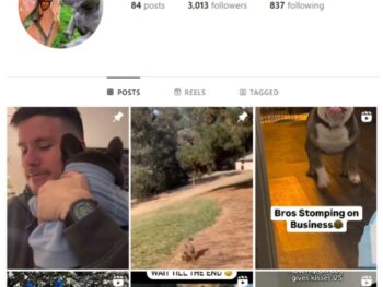 3K Dogs Bulldog Instagram Account for sale