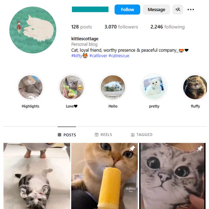 3K Kittens Cats Instagram Account for sale