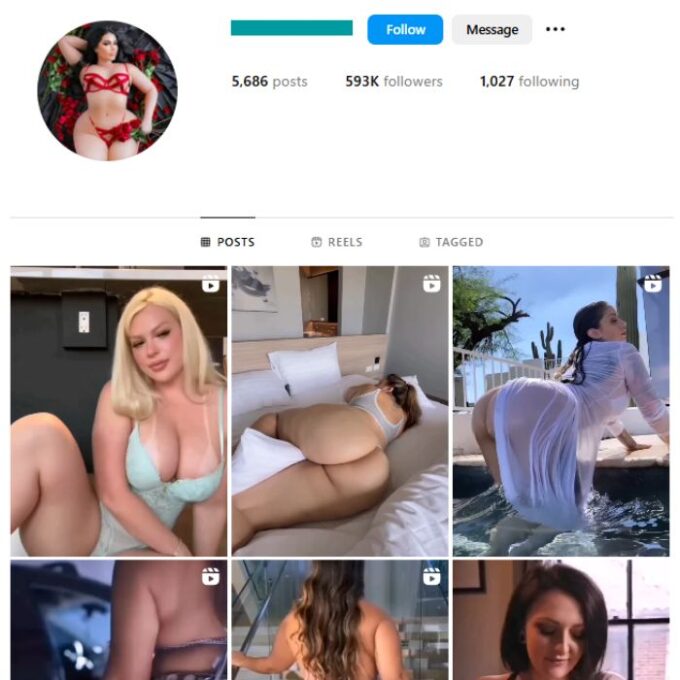 590K Adult Models Instagram Account for sale