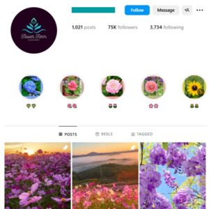 75K Flowers Garden Instagram Account for sale