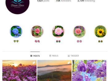 75K Flowers Garden Instagram Account for sale