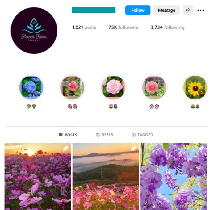 75K Flowers Garden Instagram Account for sale