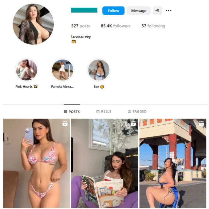 85K Adult Models Instagram Account for sale
