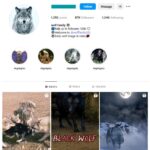 85K Wolf Animals Instagram Account for sale