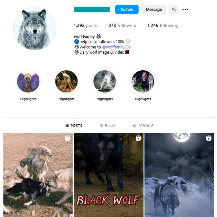 85K Wolf Animals Instagram Account for sale