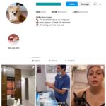 90K Chihuahua Dogs Instagram Account for sale