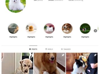 90K Dogs Pets Instagram Account for sale