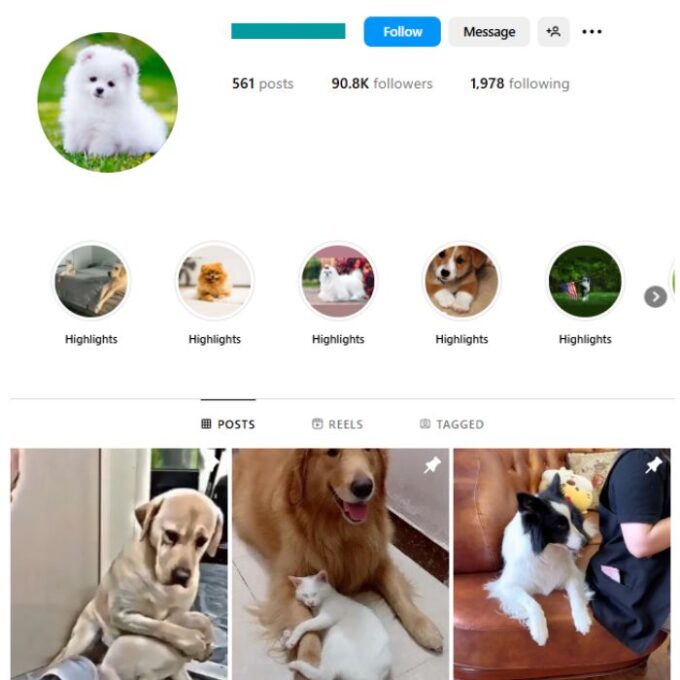 90K Dogs Pets Instagram Account for sale