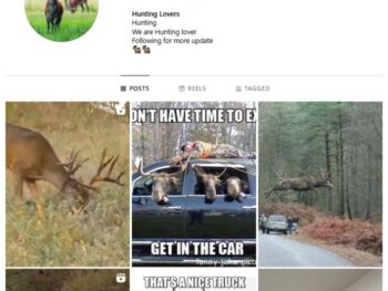 10K Animals Hunting Instagram Account for sale