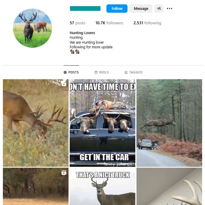 10K Animals Hunting Instagram Account for sale