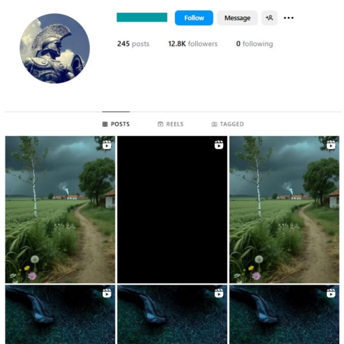 12K Politics History Instagram Account for sale