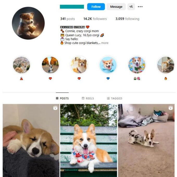 14K Dogs Corgi Instagram Account for sale