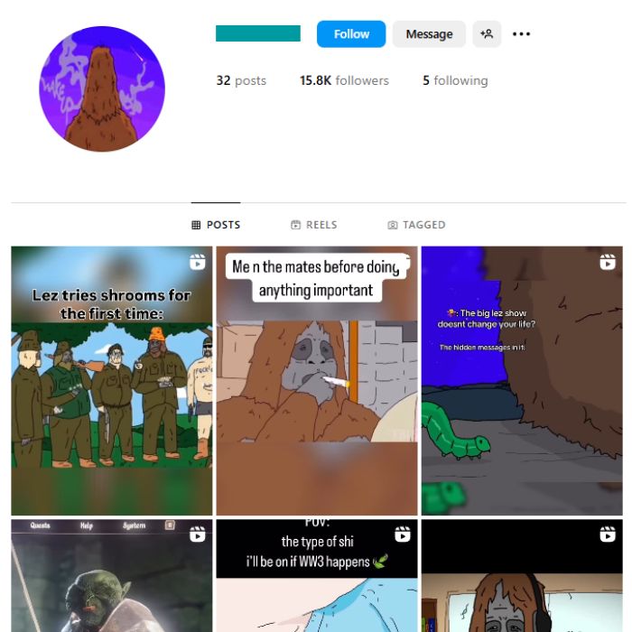 15K The Big Lez Show Fan Instagram Account for sale