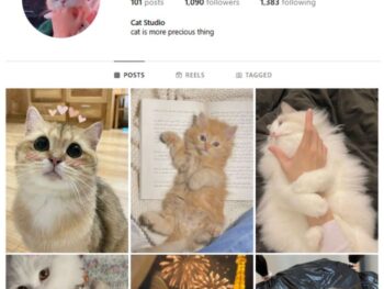 1K Pets Cats Instagram Account for sale