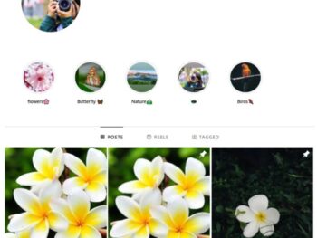 2K Flowers Nature Instagram Account for sale