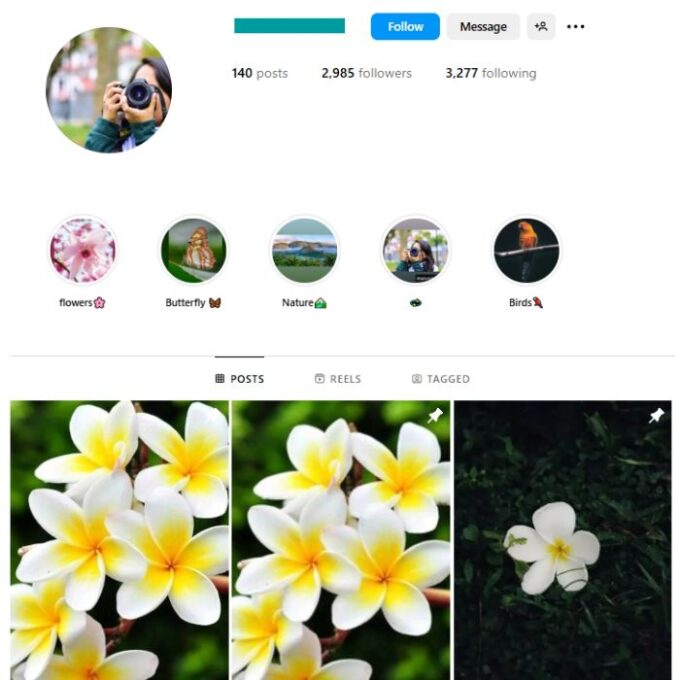 2K Flowers Nature Instagram Account for sale