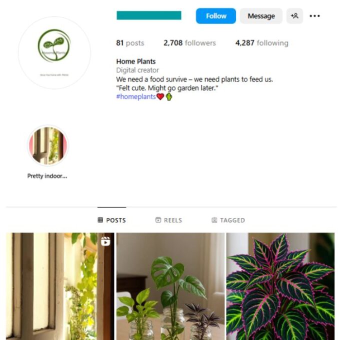 2K Interior Plants Greenery Instagram Account for sale