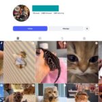 2K Kittens Cats Instagram Account for Sale