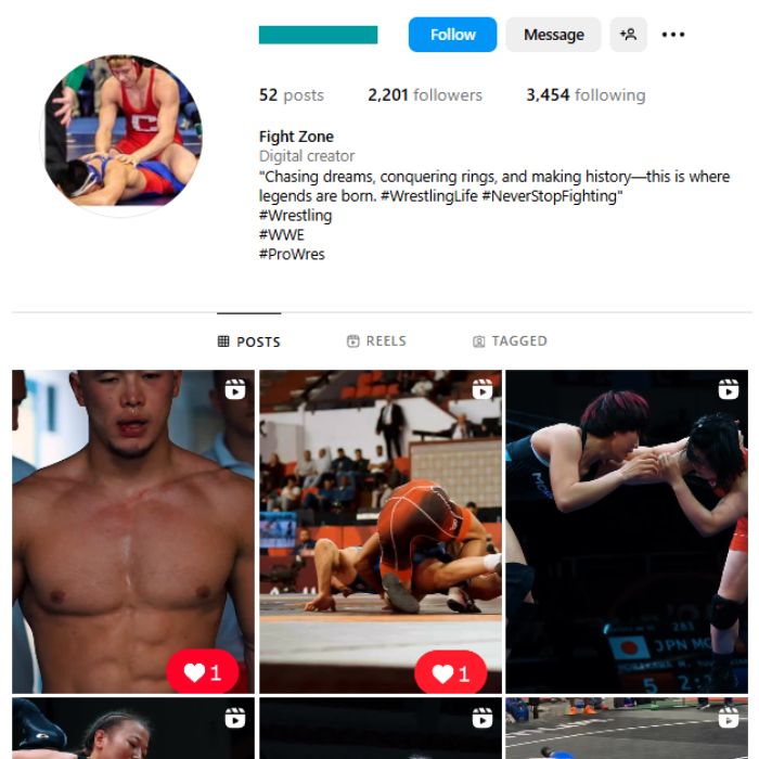 2K Wrestling Sports Instagram Account for sale