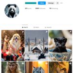 300K Artificial Intelligence Animals Instagram Account for sale