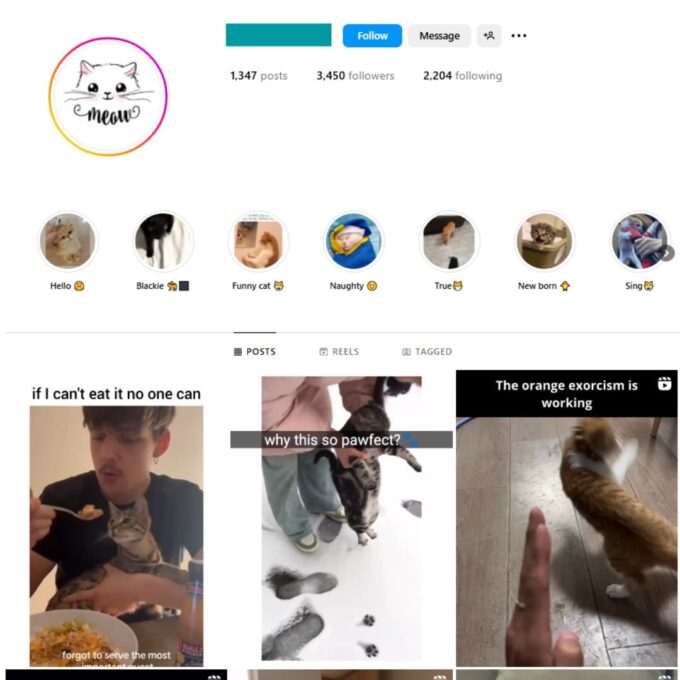 3K Funny Cat Memes Instagram Account for Sale
