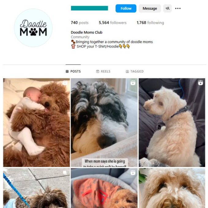 5K Cute Dogs Pets Instagram Account for sale