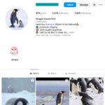 5K Penguin Animals Instagram Account for sale