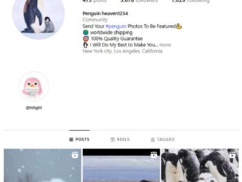 5K Penguin Animals Instagram Account for sale