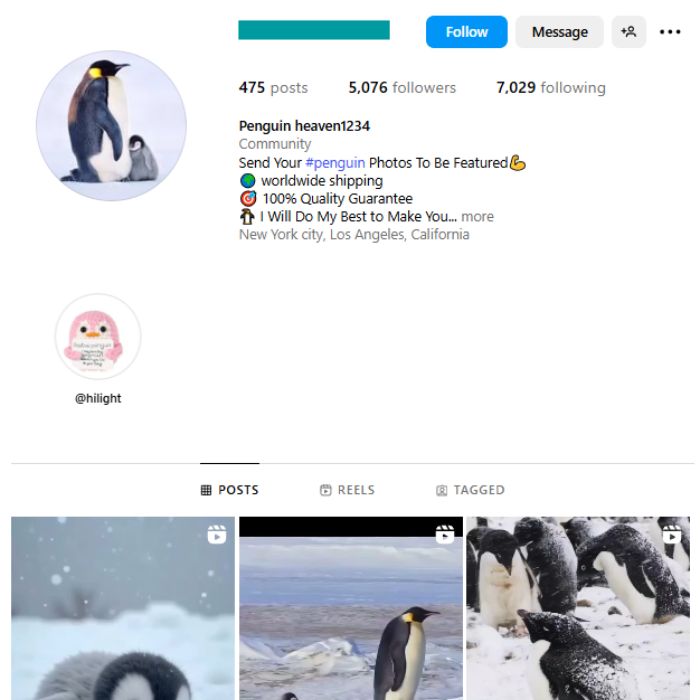 5K Penguin Animals Instagram Account for sale