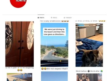 85K Humour / Memes Instagram Account for Sale