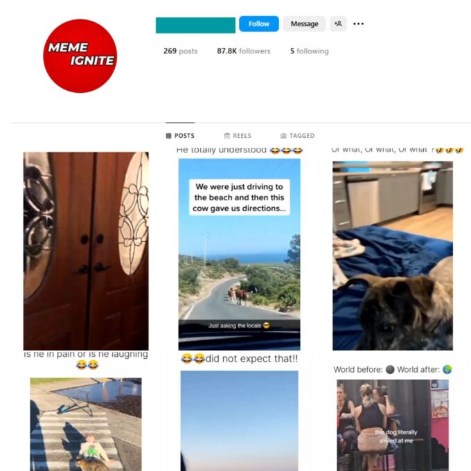 85K Humour / Memes Instagram Account for Sale