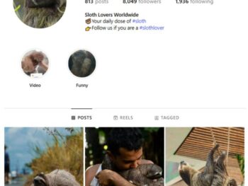 8K Sloth Animals Instagram Account for sale