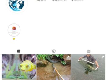 100K Fishing Sports Instagram Account for sale