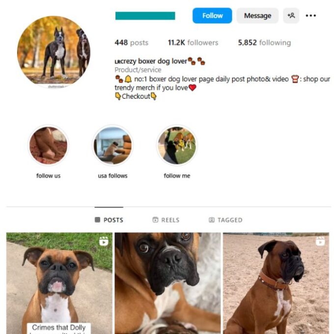 11K Dogs Boxers Instagram Account for sale