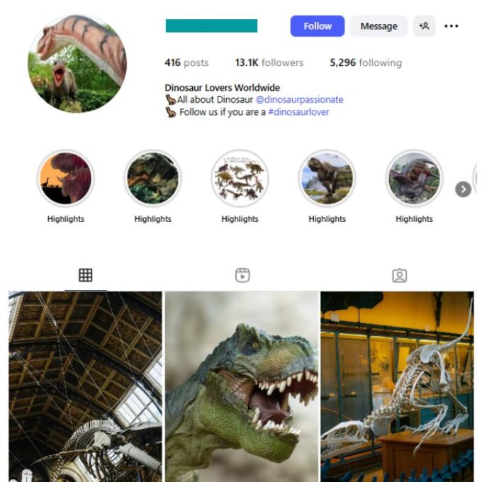 13K Dinosaur Jurassic Instagram Account for sale