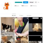 150K Pets Cats Instagram Account for sale