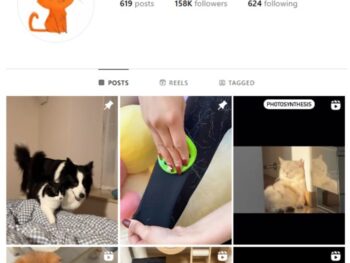 150K Pets Cats Instagram Account for sale