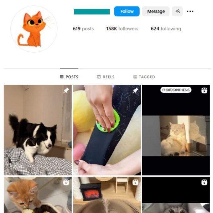 150K Pets Cats Instagram Account for sale