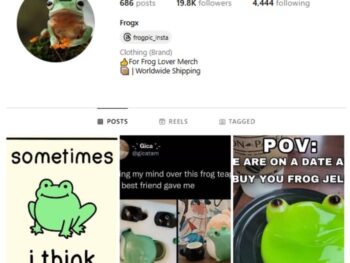 19K Frog Memes Instagram Account for sale
