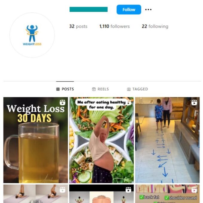 1K Weightloss Health Nutrition Instagram Account for sale