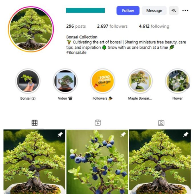 2K Bonsai Trees Instagram Account for sale