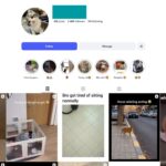 2K Cute Cats Instagram Account for Sale