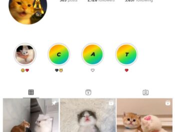 2K Cute Cats Instagram Account for sale