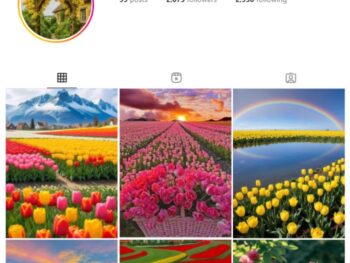 2K Flowers Roses Instagram Account for sale