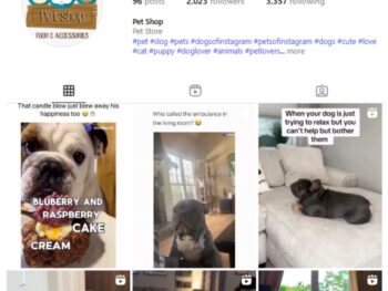 2K Pets Dogs Instagram Account for sale