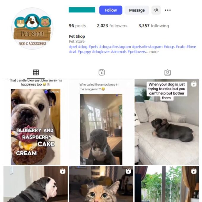 2K Pets Dogs Instagram Account for sale